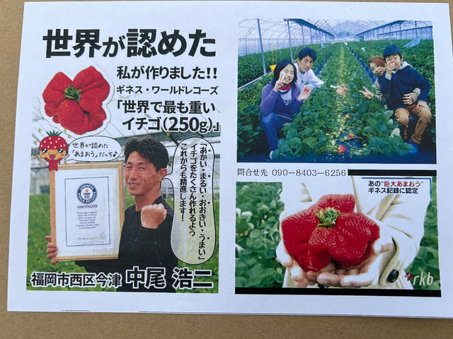 いちごファームこうじ園