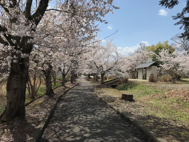 まほろばの緑道