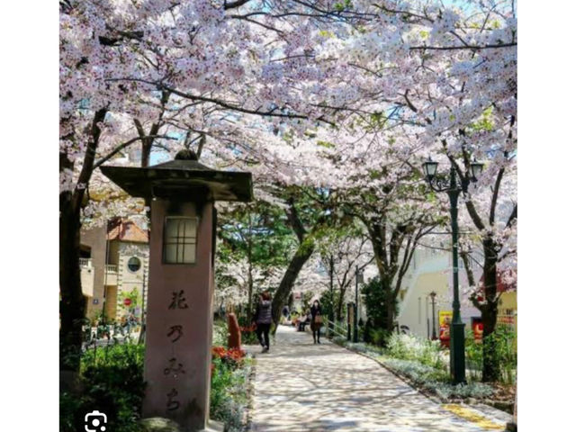 アイアールトラベル宝塚営業所(株式会社フォーライフ)