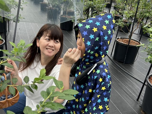 ブルーベリーみさき