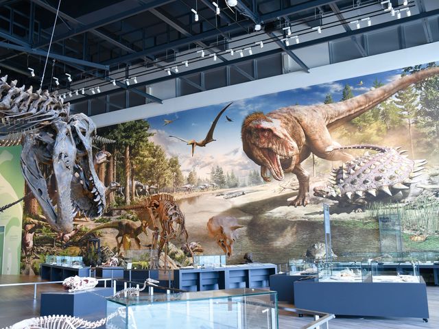白亜紀後期(約8,000万年前)の長崎市の様子。発掘された化石に基づいて復元された大迫力の壁画です。_ベネックス恐竜博物館(長崎市恐竜博物館)