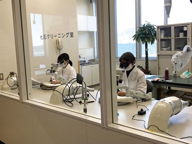 オープンラボ。国内の自然史博物館では数少ないX線CT、スキャナを導入している研究室、岩石から化石を削り出すクリーニング室などを見学することができます。_ベネックス恐竜博物館(長崎市恐竜博物館)