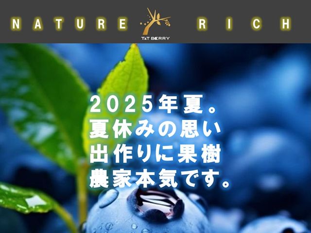 当園のブルーベリーは、その場で摘み取り・帰りにご近所へのお土産・遠方へのご贈答等、様々なシーンで多くの方にご利用いただいております。_T&T ベリーファーム