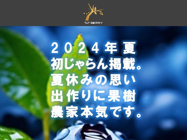 登園のブルーベリーは、その場で摘み取り・帰りにご近所へのお土産・遠方へのご贈答等、様々なシーンで多くの方にご利用いただいております。_T&T ベリーファーム