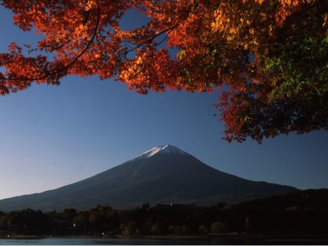 紅葉深まる河口湖畔の紅葉_fujisanbike studio