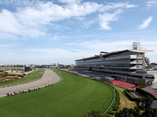 阪神競馬場の写真1