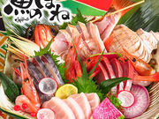 魚のほねの写真1