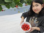 サンベリー農園の写真2