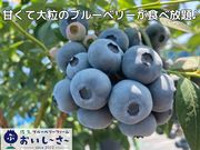 佐久ブルーベリーファーム おいし〜さ〜の写真3