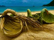 WANO SHO-TENの写真3