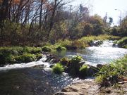 釣り堀カフェクローバーの写真4