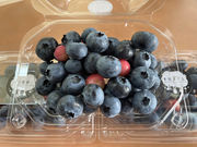 Southernberry-farm HOBALの写真3