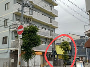 ひだまり Place パステルアートの写真3