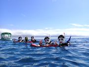 石垣島ダイビングサービス BlueSeodの写真3
