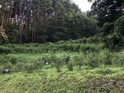 明日果ベリーヒルの写真2
