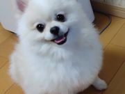こどもキッチンラボはむはむの写真4