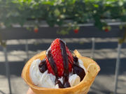 Berry Happyの写真4