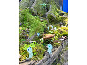 コーヒー焙煎体験 kotoの写真4