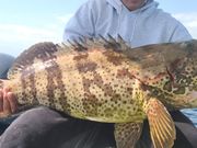 沖縄糸満 遊漁船とら吉丸の写真4