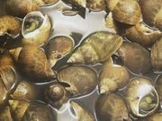 しらす食堂 つしま神社店の写真3