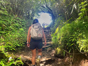 モリノ コドウ ハコネの写真2