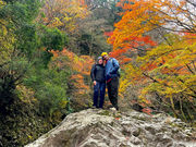 モリノ コドウ ハコネの写真4