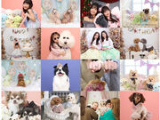 セルフフォトスタジオAnniversary!の写真3