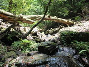 TOLT 旅と暮らしのスポーツ自転車の写真2