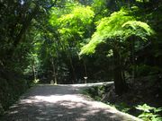 TOLT 旅と暮らしのスポーツ自転車の写真3