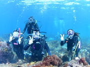 SUNla伊豆ダイビング(サンライズ)の写真4