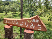 農園コトリのよりみちの写真4