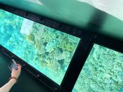 BLUE CORALの写真2