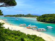 BLUE CORALの写真3