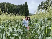 大分県旅行業協同組合の写真3