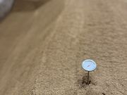金剛山麓酵素風呂 大地の写真4