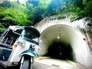 The Islandの写真3