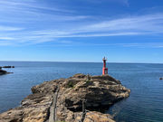 Marine Shop YOUの写真2