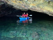 Marine Shop YOUの写真3