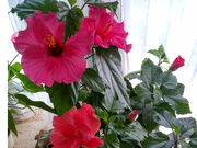 パーソナルビューティーサロン Pureの写真4