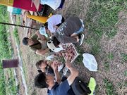 KBファーム(さつまいも園)の写真3