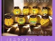 カミツレの写真4