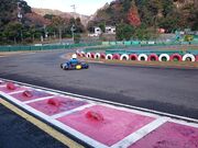 たからづかカートフィールドの写真3