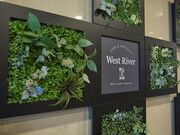 ウェストリバー ホテルヴィスキオ尼崎 by GRANVIAの写真1