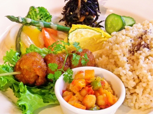 知恵の木 札幌の写真1