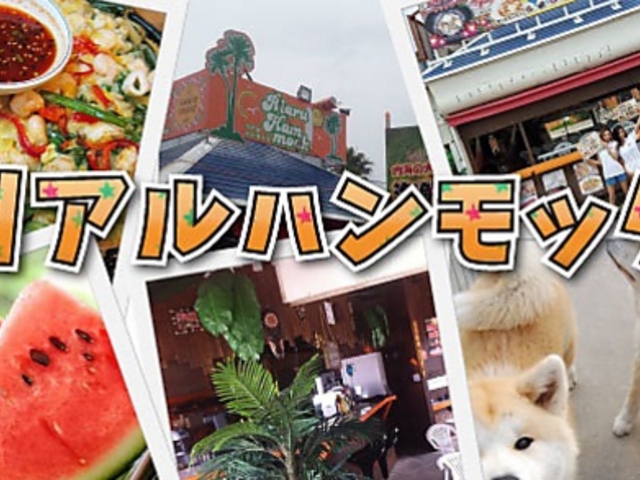 リアルハンモックの写真1