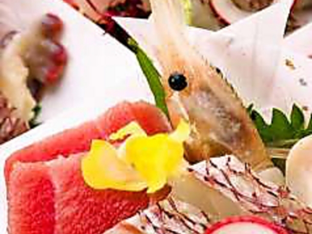 魚屋の回転寿司 すし活の写真1