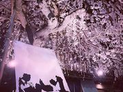 魁の写真1
