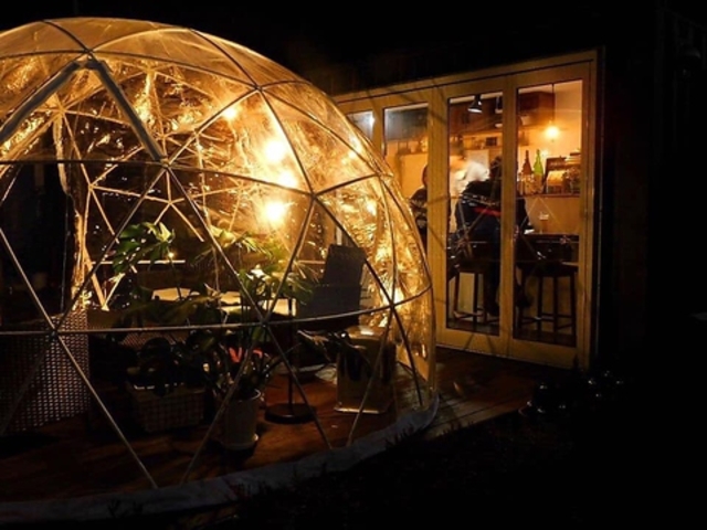 MERRY TREES メリー ツリーズの写真1