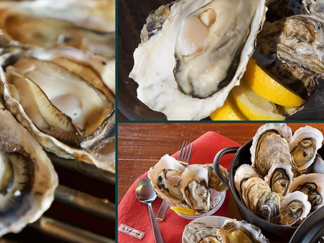 尾道WHARFの写真1