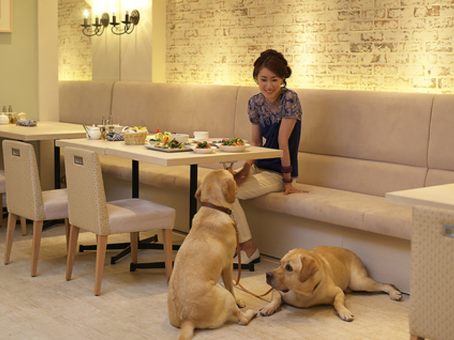 ザ フォレストテラスの写真1